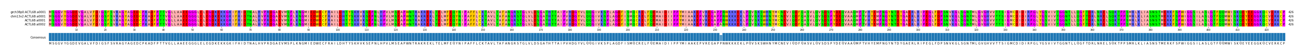Multiple Alignments (by translate haplotype similarity)