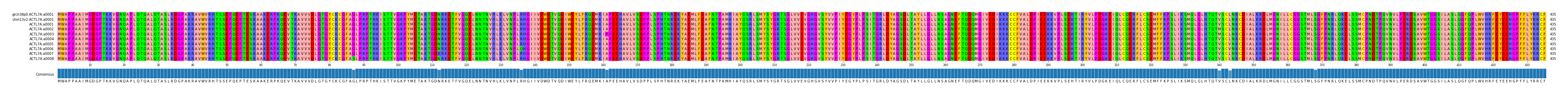 Multiple Alignments (by translate haplotype frequency)
