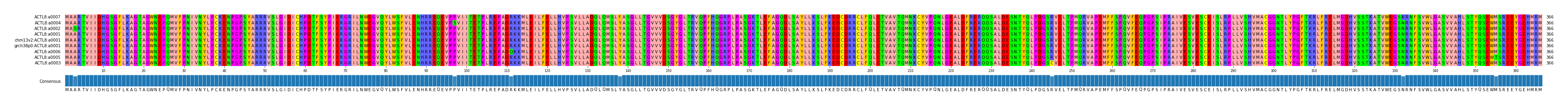 Multiple Alignments (by translate haplotype similarity)
