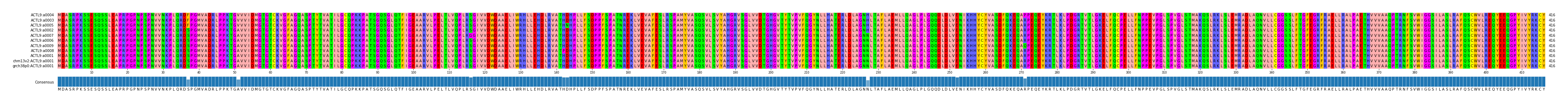 Multiple Alignments (by translate haplotype similarity)