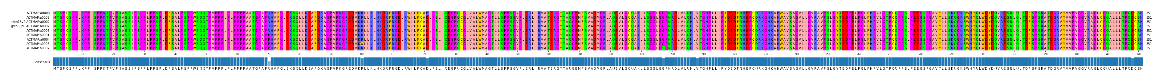 Multiple Alignments (by translate haplotype similarity)