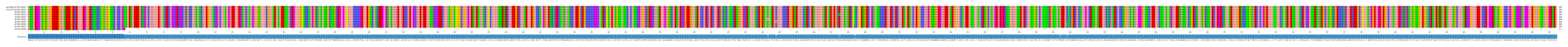 Multiple Alignments (by translate haplotype frequency)