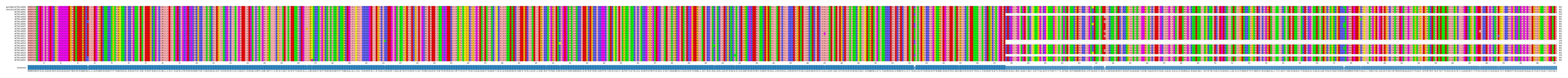 Multiple Alignments (by translate haplotype frequency)