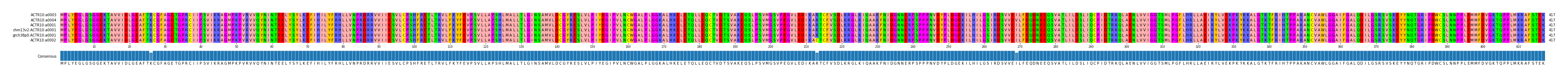 Multiple Alignments (by translate haplotype similarity)