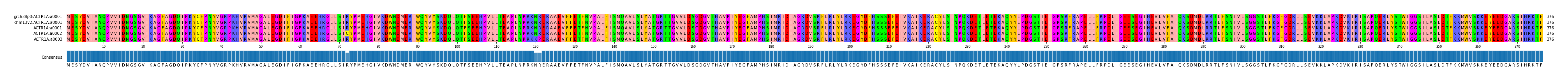Multiple Alignments (by translate haplotype frequency)