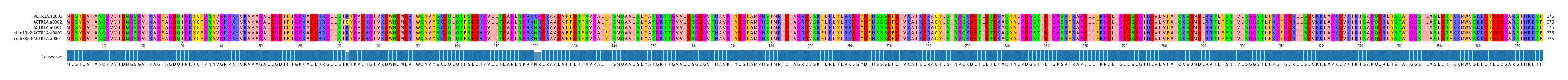 Multiple Alignments (by translate haplotype similarity)