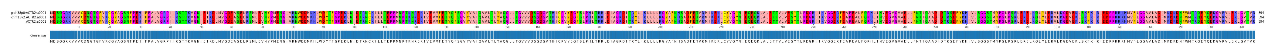 Multiple Alignments (by translate haplotype similarity)
