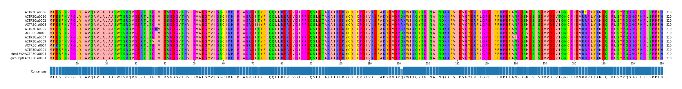 Multiple Alignments (by translate haplotype similarity)