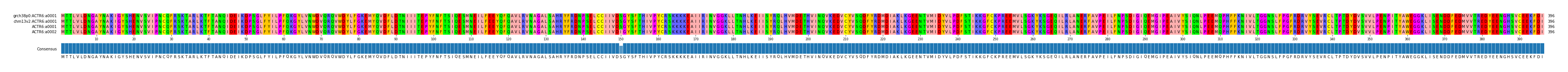 Multiple Alignments (by translate haplotype similarity)
