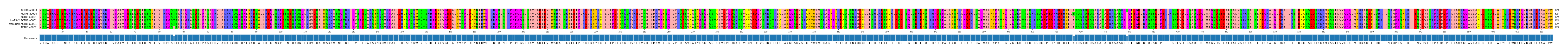 Multiple Alignments (by translate haplotype similarity)