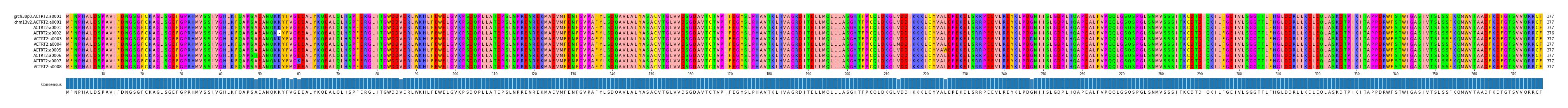 Multiple Alignments (by translate haplotype frequency)