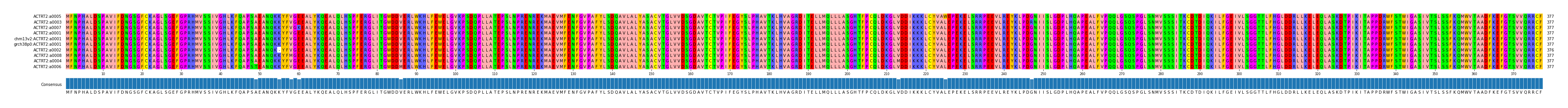 Multiple Alignments (by translate haplotype similarity)