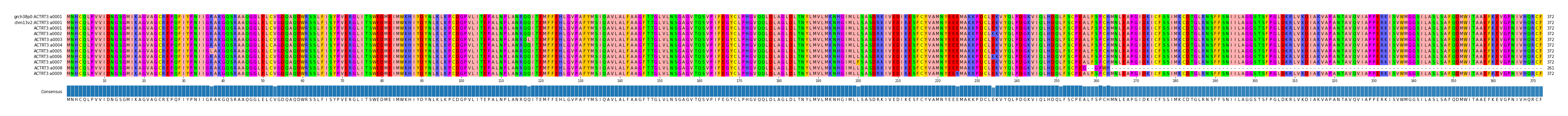 Multiple Alignments (by translate haplotype frequency)