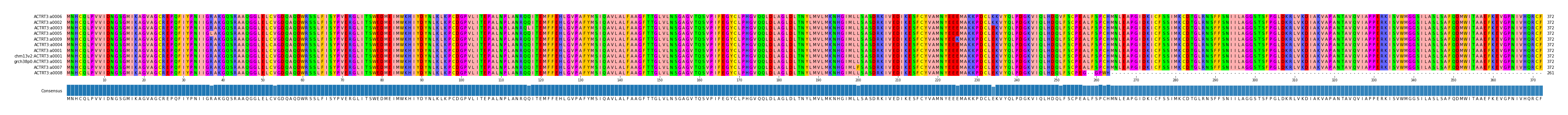 Multiple Alignments (by translate haplotype similarity)