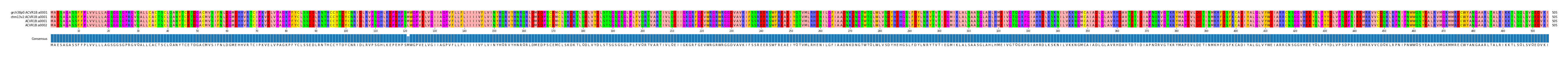 Multiple Alignments (by translate haplotype similarity)