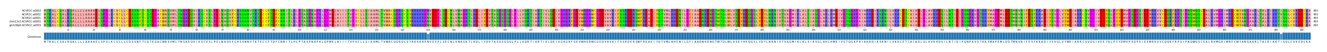 Multiple Alignments (by translate haplotype similarity)
