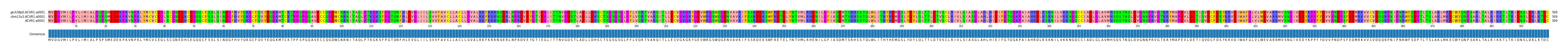 Multiple Alignments (by translate haplotype similarity)