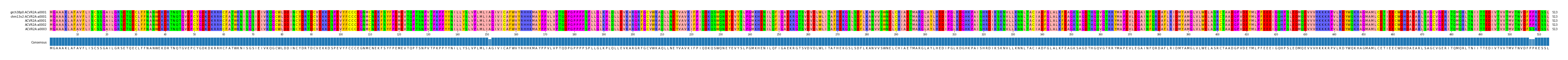 Multiple Alignments (by translate haplotype frequency)