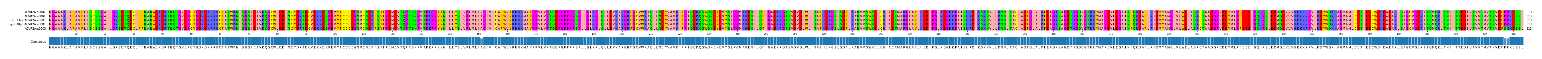 Multiple Alignments (by translate haplotype similarity)