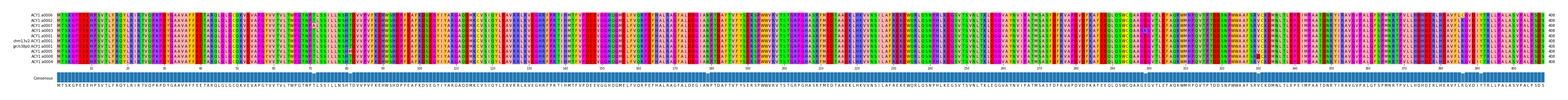 Multiple Alignments (by translate haplotype similarity)