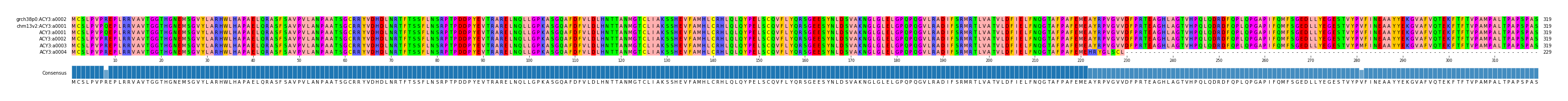 Multiple Alignments (by translate haplotype frequency)