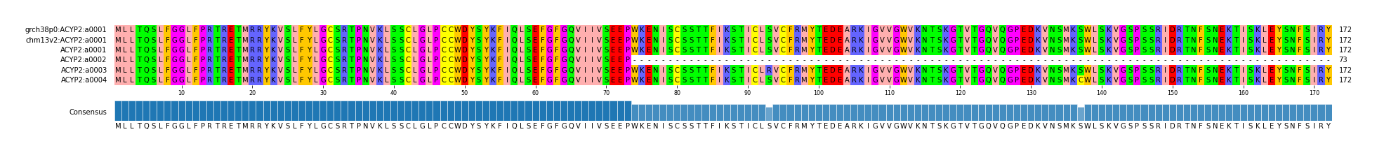 Multiple Alignments (by translate haplotype frequency)