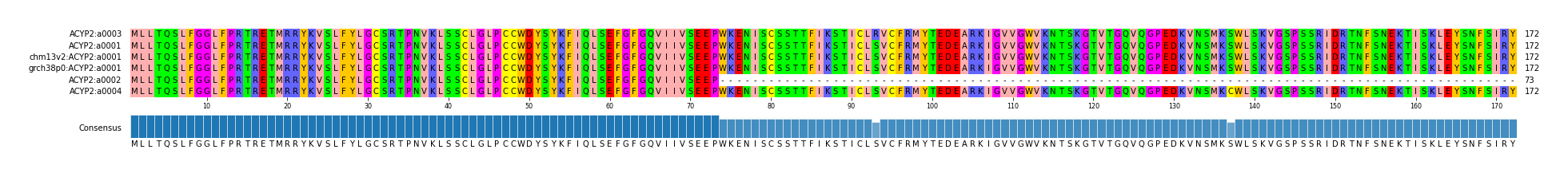Multiple Alignments (by translate haplotype similarity)
