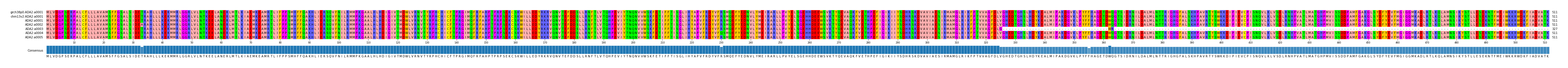 Multiple Alignments (by translate haplotype frequency)