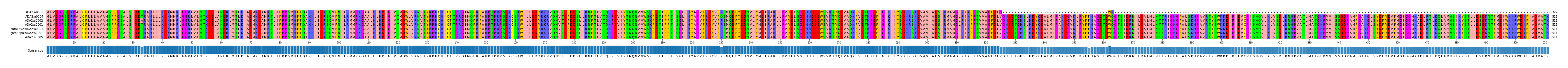 Multiple Alignments (by translate haplotype similarity)