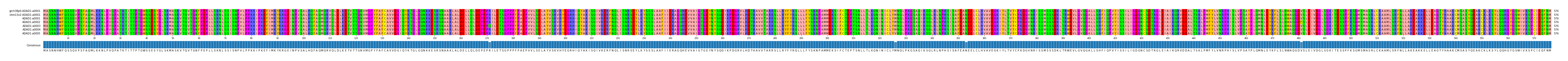 Multiple Alignments (by translate haplotype frequency)