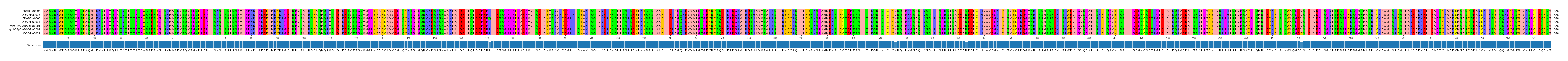 Multiple Alignments (by translate haplotype similarity)