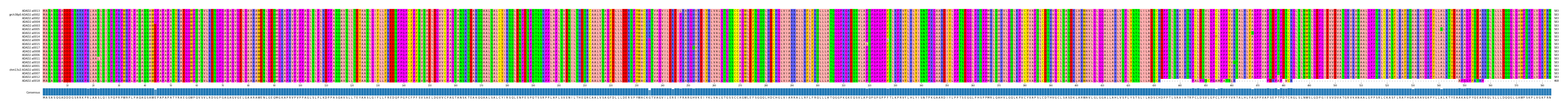 Multiple Alignments (by translate haplotype similarity)