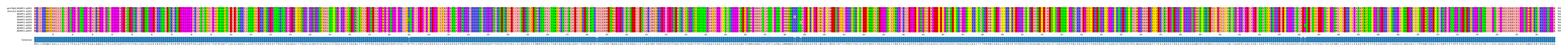 Multiple Alignments (by translate haplotype frequency)