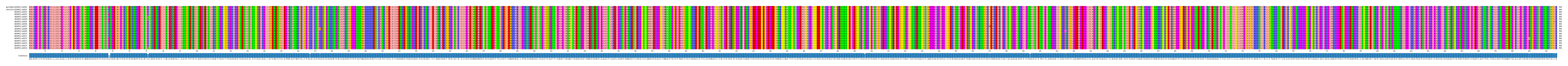 Multiple Alignments (by translate haplotype frequency)