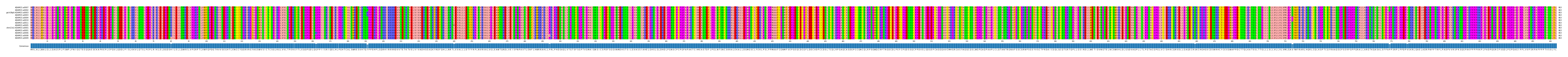 Multiple Alignments (by translate haplotype similarity)