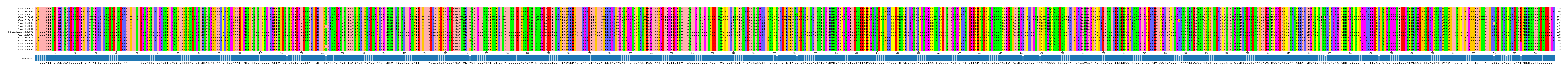 Multiple Alignments (by translate haplotype similarity)