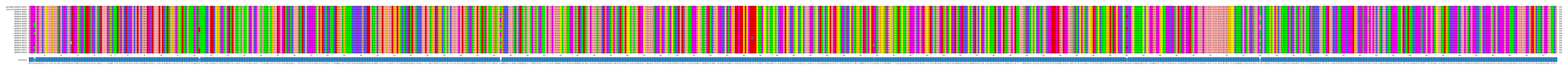 Multiple Alignments (by translate haplotype frequency)