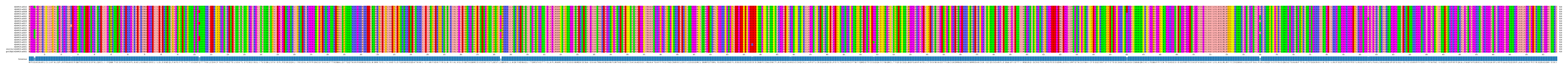 Multiple Alignments (by translate haplotype similarity)