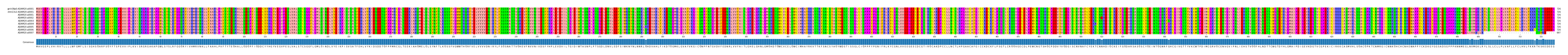 Multiple Alignments (by translate haplotype frequency)