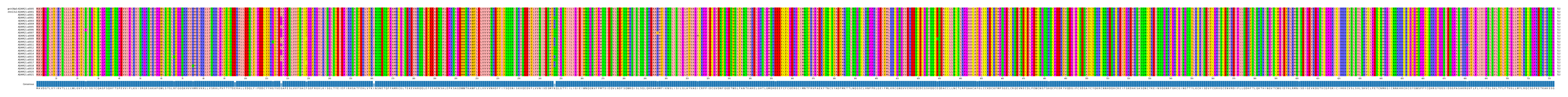 Multiple Alignments (by translate haplotype frequency)