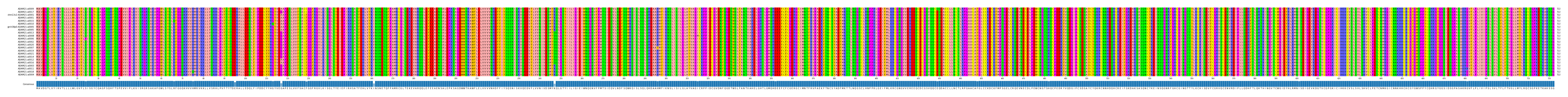 Multiple Alignments (by translate haplotype similarity)