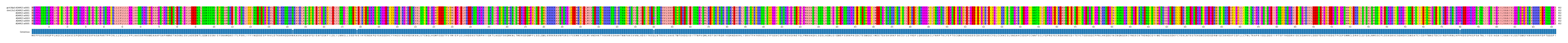 Multiple Alignments (by translate haplotype frequency)