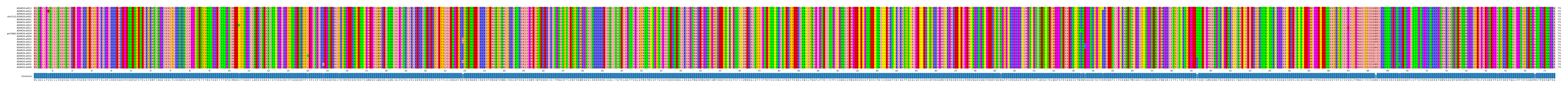 Multiple Alignments (by translate haplotype similarity)