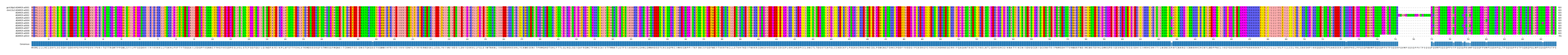 Multiple Alignments (by translate haplotype frequency)