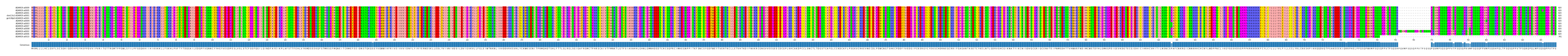 Multiple Alignments (by translate haplotype similarity)