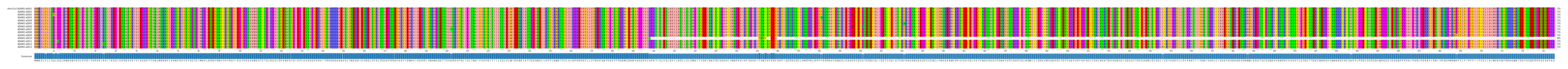 Multiple Alignments (by translate haplotype frequency)