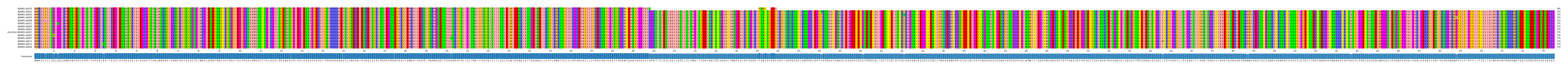 Multiple Alignments (by translate haplotype similarity)