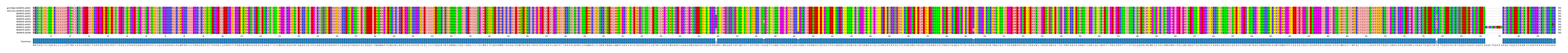 Multiple Alignments (by translate haplotype frequency)