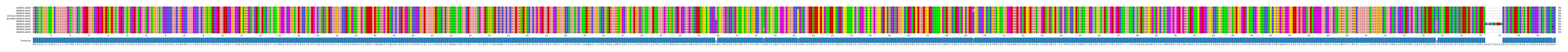 Multiple Alignments (by translate haplotype similarity)