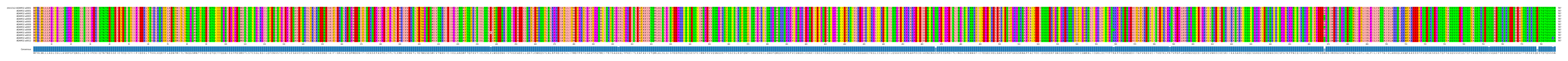 Multiple Alignments (by translate haplotype frequency)